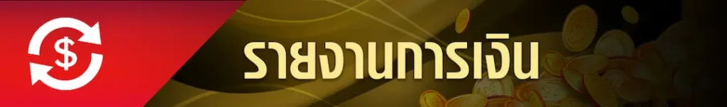 รายงานการเงิน